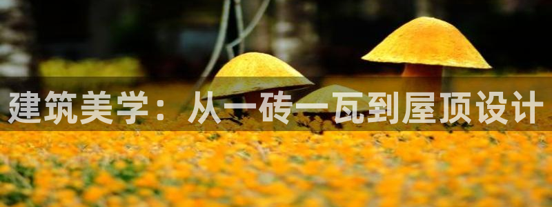 先锋娱乐集团：建筑美学：从一砖一瓦到屋顶设计