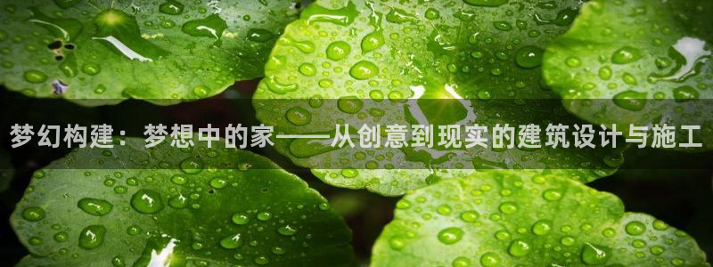 先锋澳门新娱乐：梦幻构建：梦想中的家——从创意到现实的建筑设计与施工