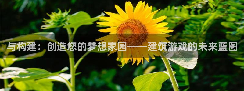 先锋澳门新娱乐：与构建：创造您的梦想家园——建筑游戏的未来蓝图