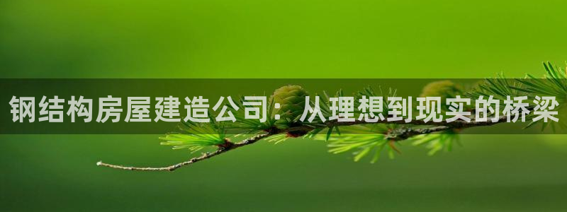 先锋娱乐公司正规吗吗：钢结构房屋建造公司：从理想到现实的桥梁