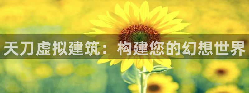 先锋娱乐属于违法吗：天刀虚拟建筑：构建您的幻想世界
