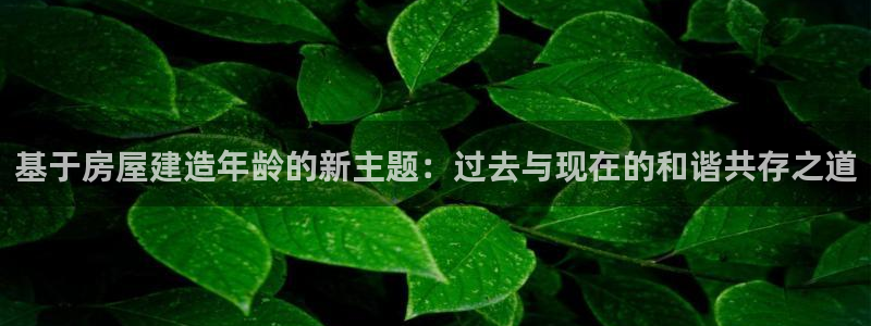 先锋综合娱乐：基于房屋建造年龄的新主题：过去与现在的和谐共存之道