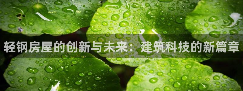先锋娱乐会所地址：轻钢房屋的创新与未来：建筑科技的新篇章