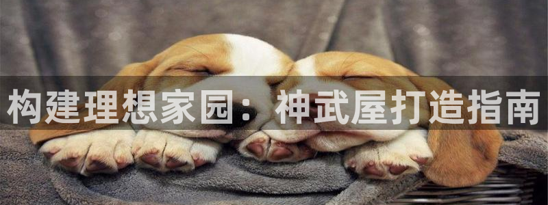 先锋方舟娱乐集团：构建理想家园：神武屋打造指南