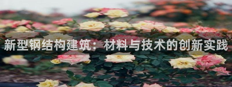 先锋娱乐游戏上分：新型钢结构建筑：材料与技术的创新实践