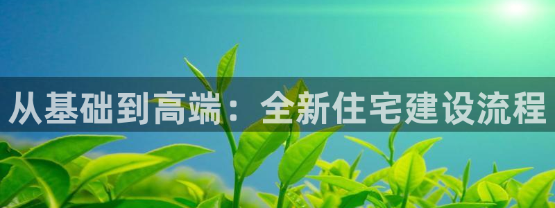 先锋娱乐转进去钱：从基础到高端：全新住宅建设流程