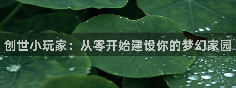 先锋娱乐体育：创世小玩家：从零开始建设你的梦幻家园