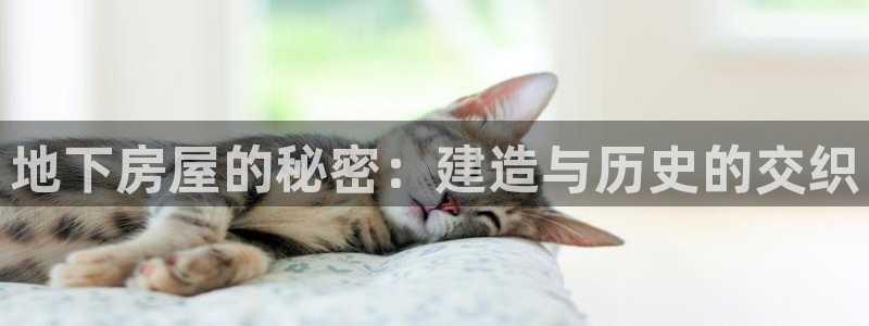 先锋娱乐快讯：地下房屋的秘密：建造与历史的交织