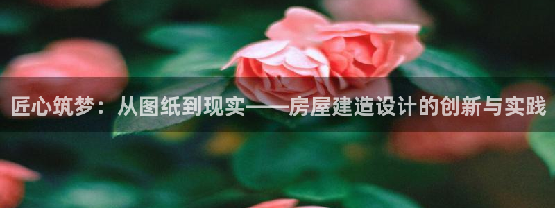先锋娱乐公司：匠心筑梦：从图纸到现实——房屋建造设计的创新与实践