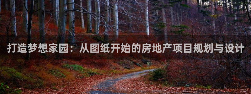 先锋娱乐大厅斗牛：打造梦想家园：从图纸开始的房地产项目规划与设计