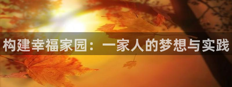 先锋娱乐理财logo：构建幸福家园：一家人的梦想与实践