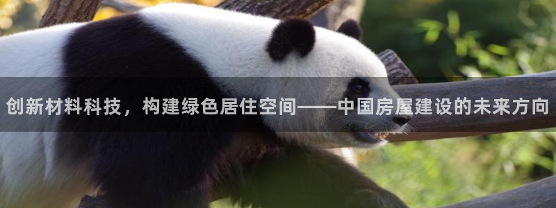 怎么下载先锋娱乐大厅：创新材料科技，构建绿色居住空间——中国房屋建设的未来方向