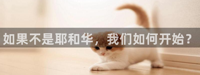 先锋娱乐游戏上分视频：如果不是耶和华，我们如何开始？