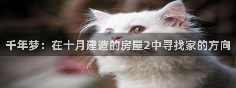 娱乐先锋捕鱼客服：千年梦：在十月建造的房屋2中寻找家的方向