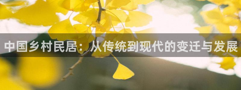 怎么下载先锋娱乐大厅：中国乡村民居：从传统到现代的变迁与发展