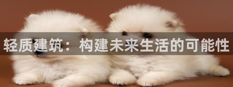 先锋娱乐提现多久到账：轻质建筑：构建未来生活的可能性