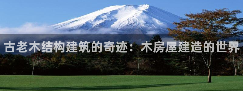 先锋娱乐管理集团：古老木结构建筑的奇迹：木房屋建造的世界