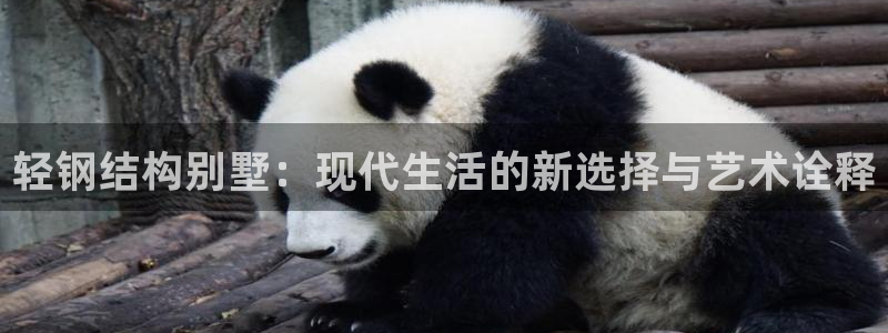 先锋娱乐系统：轻钢结构别墅：现代生活的新选择与艺术诠释