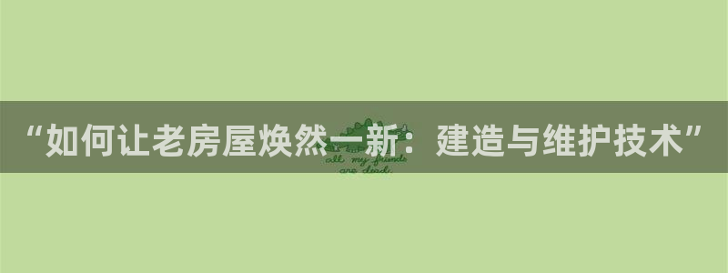 先锋娱乐登录：“如何让老房屋焕然一新：建造与维护技术”