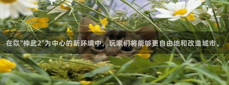 怎么下载先锋娱乐大厅：在以\