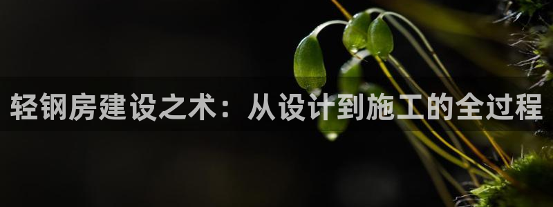 先锋娱乐情报：轻钢房建设之术：从设计到施工的全过程