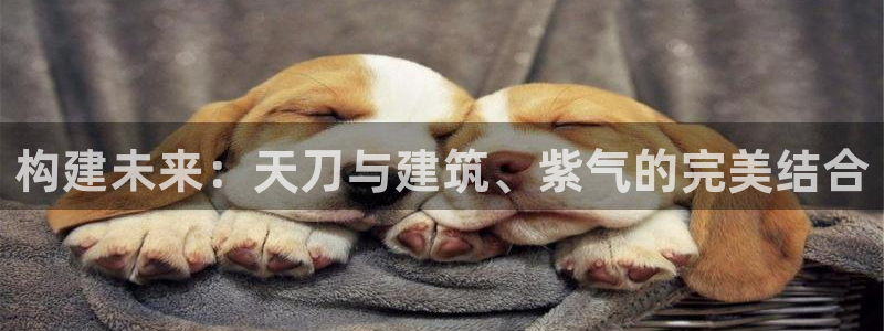 娱乐急先锋全集下载：构建未来：天刀与建筑、紫气的完美结合