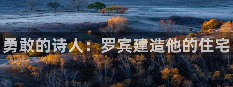 先锋队娱乐：勇敢的诗人：罗宾建造他的住宅