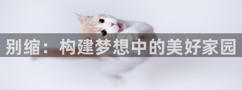 先锋娱乐团：别缩：构建梦想中的美好家园