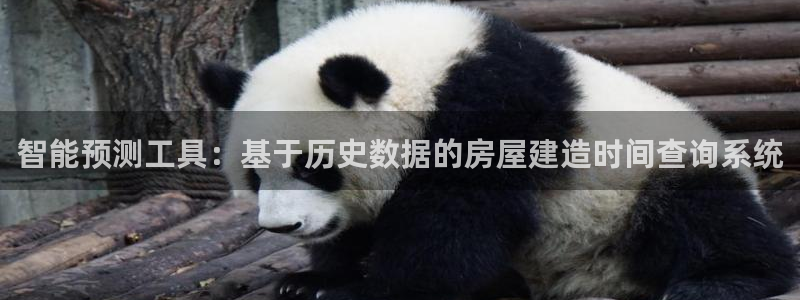 先锋娱乐科技：智能预测工具：基于历史数据的房屋建造时间查询系统