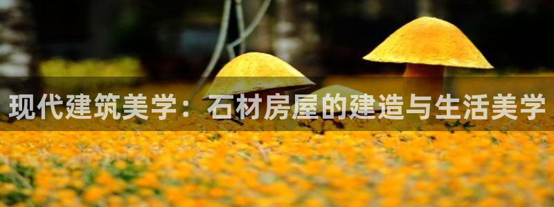 先锋娱乐管理集团：现代建筑美学：石材房屋的建造与生活美学