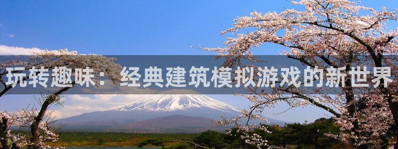 先锋娱乐电话：玩转趣味：经典建筑模拟游戏的新世界