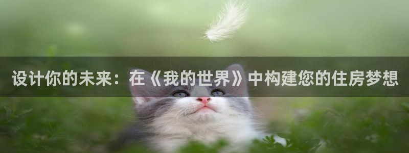 先锋互动娱乐：设计你的未来：在《我的世界》中构建您的住房梦想