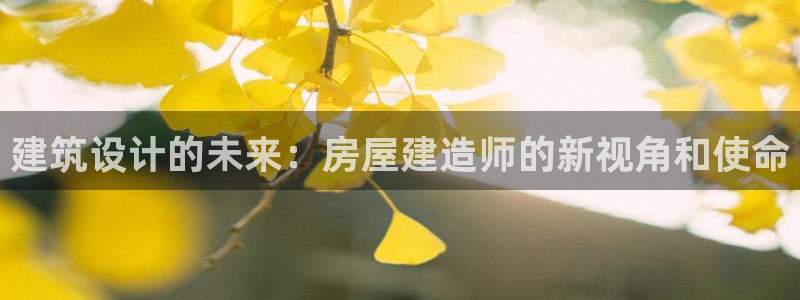 先锋电玩娱乐：建筑设计的未来：房屋建造师的新视角和使命