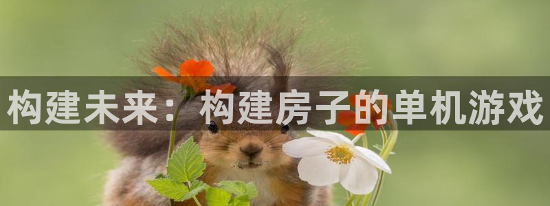 先锋互动娱乐：构建未来：构建房子的单机游戏