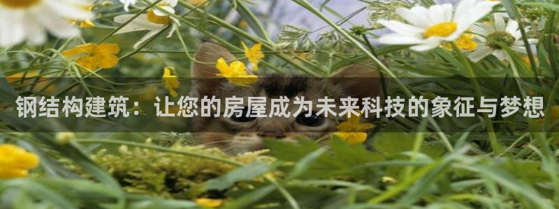 先锋娱乐网：钢结构建筑：让您的房屋成为未来科技的象征与梦想