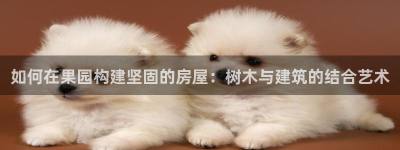 先锋娱乐电话：如何在果园构建坚固的房屋：树木与建筑的结合艺术