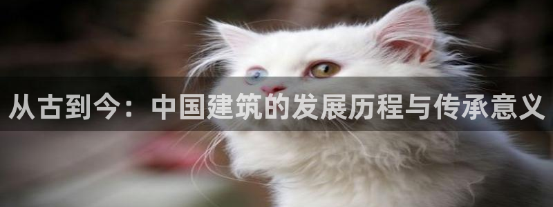 先锋娱乐简介图片：从古到今：中国建筑的发展历程与传承意义