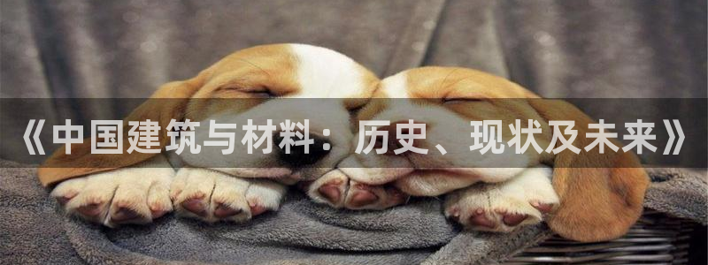 先锋银河娱乐：《中国建筑与材料：历史、现状及未来》