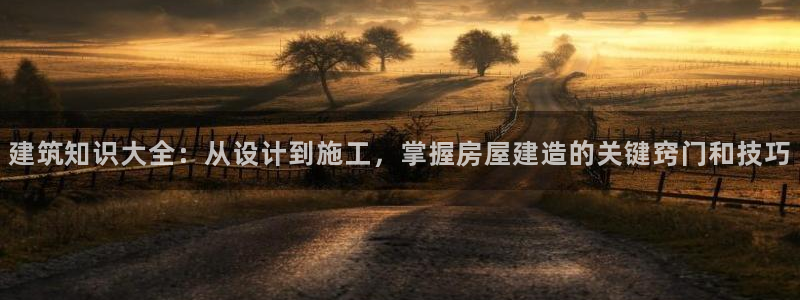 先锋娱乐手机：建筑知识大全：从设计到施工，掌握房屋建造的关键窍门和技巧
