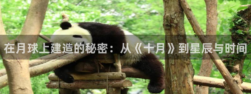 先锋 娱乐：在月球上建造的秘密：从《十月》到星辰与时间