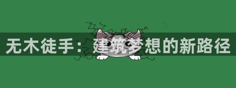 先锋娱乐理财logo：无木徒手：建筑梦想的新路径