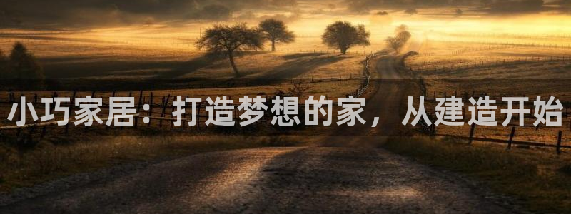 先锋娱乐游戏上分网址：小巧家居：打造梦想的家，从建造开始