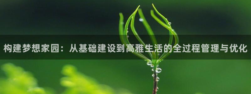 先锋娱乐快讯：构建梦想家园：从基础建设到高雅生活的全过程管理与优化