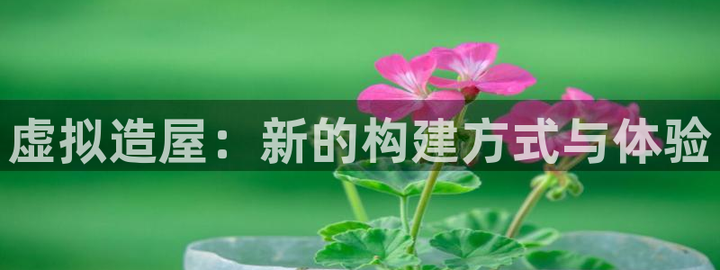 亚洲先锋娱乐招股：虚拟造屋：新的构建方式与体验