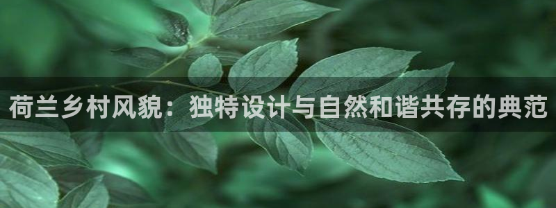 先锋 娱乐：荷兰乡村风貌：独特设计与自然和谐共存的典范
