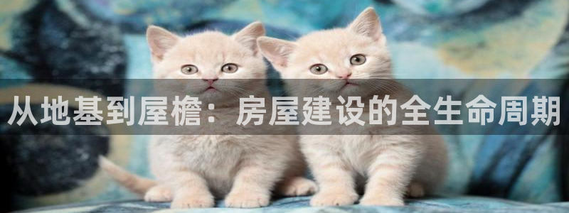 先锋娱乐大厅透视：从地基到屋檐：房屋建设的全生命周期