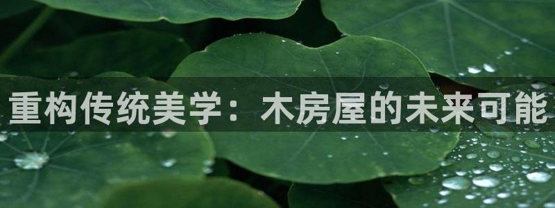 先锋支付娱乐城：重构传统美学：木房屋的未来可能