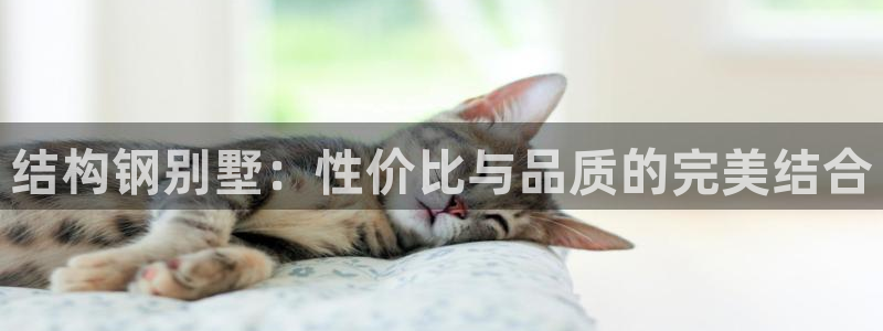 先锋娱乐游戏软件：结构钢别墅：性价比与品质的完美结合