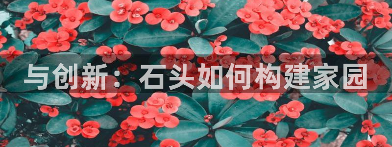 先锋娱乐链接：与创新：石头如何构建家园