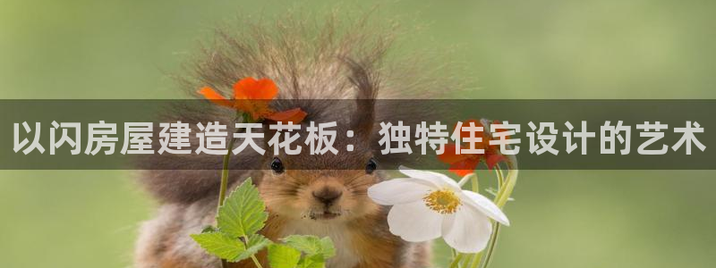 先锋娱乐游戏上分网址：以闪房屋建造天花板：独特住宅设计的艺术